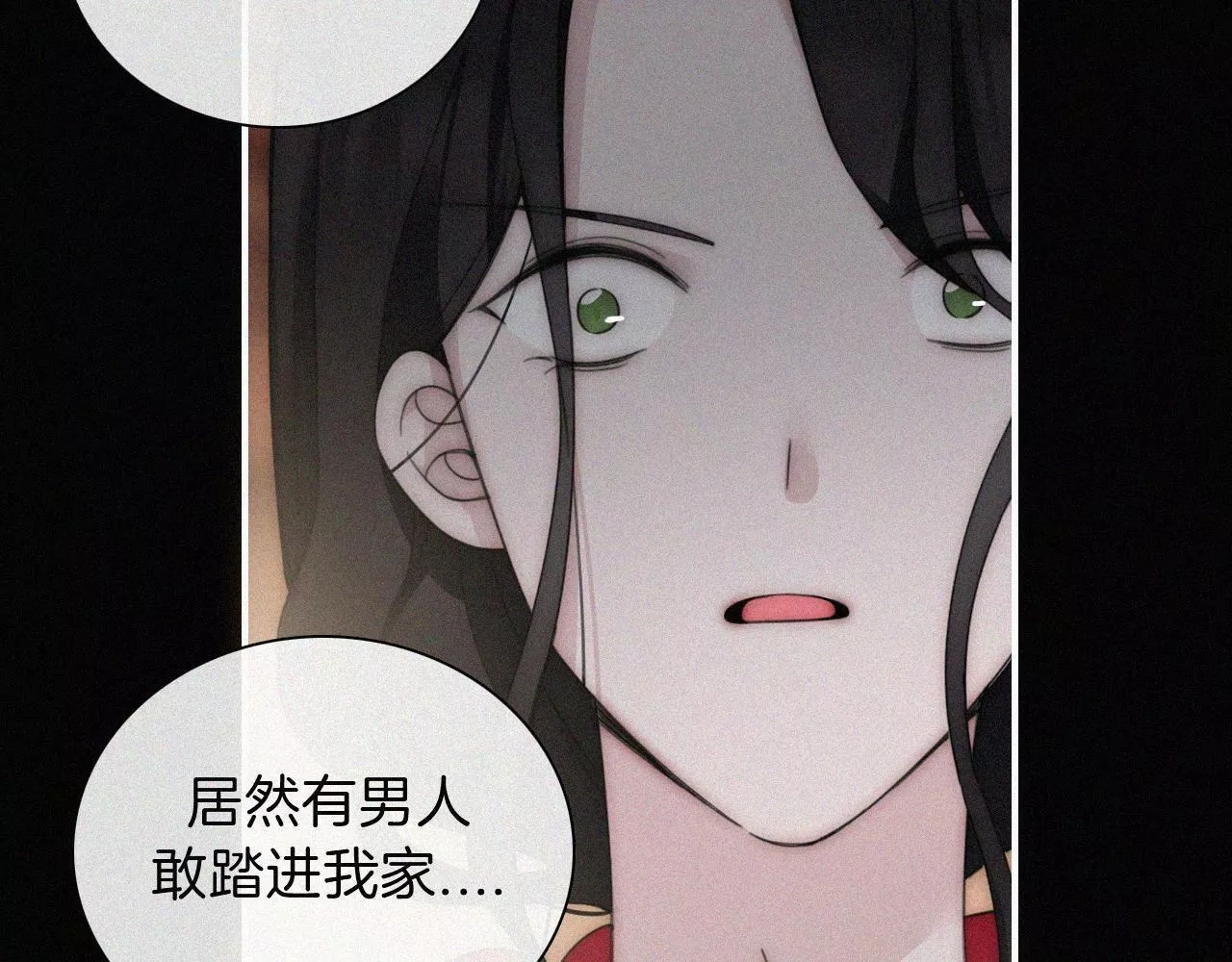 黑夜有所斯,第190夜 失踪的少女们,第38张