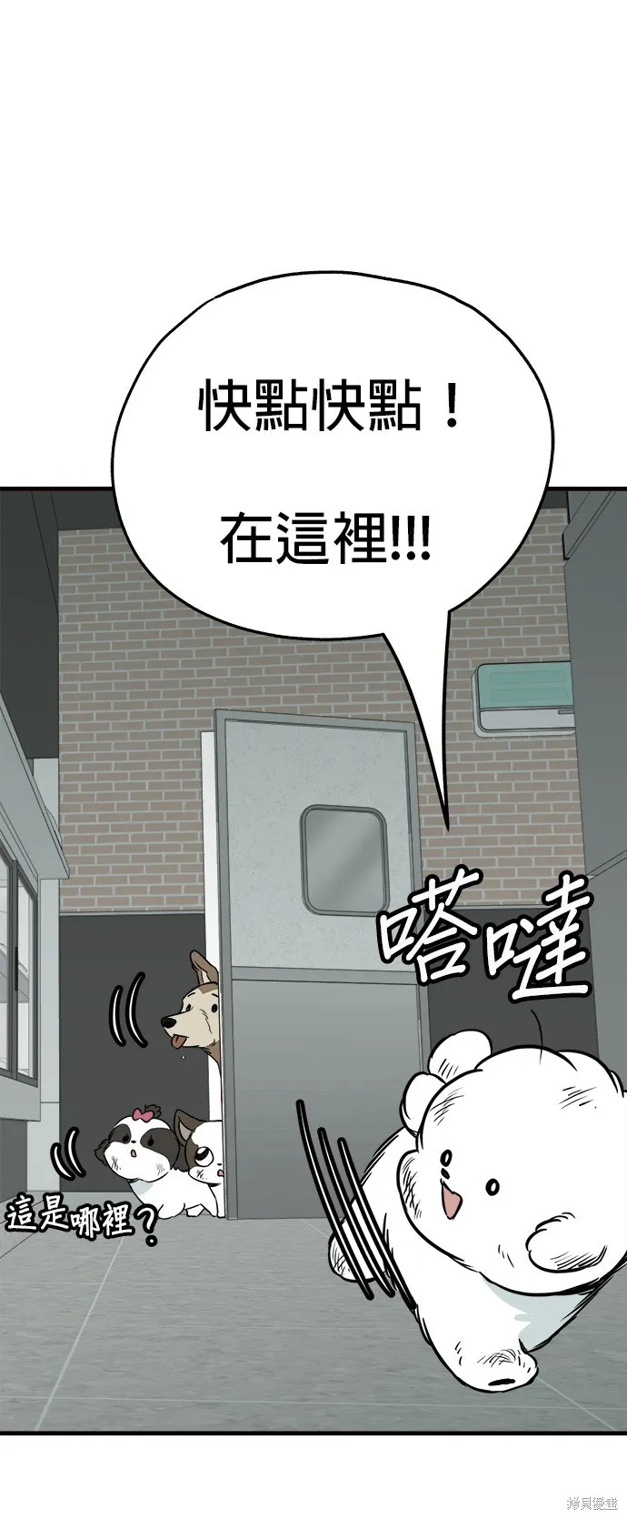 狗狗逃亡記,第52話,第25张