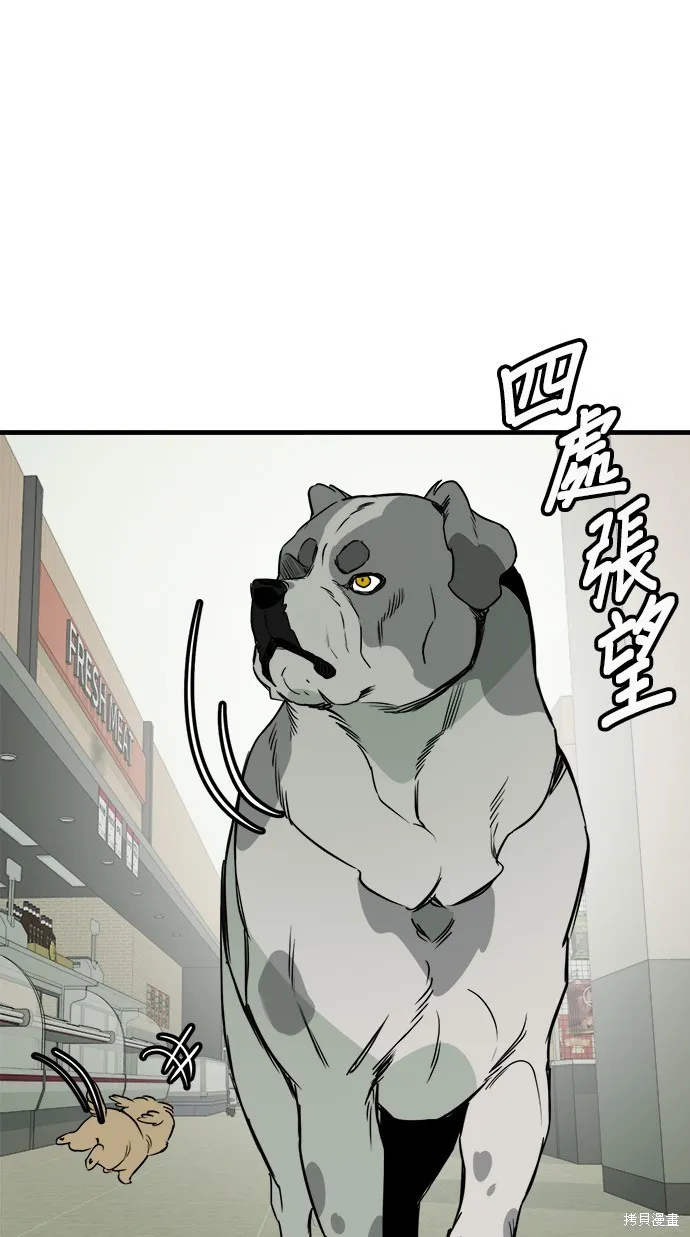 狗狗逃亡記,第52話,第33张