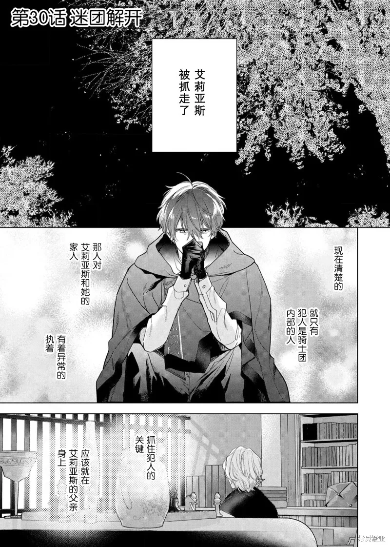 没落千金是穷骑士的女仆,第30话,第1张