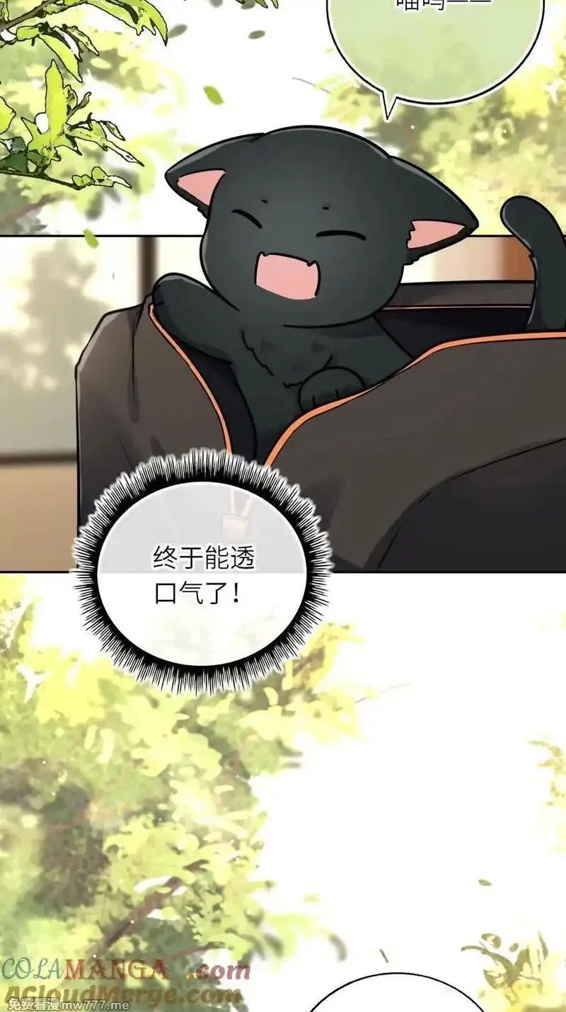 我把皇子养黑化了,112 真·躲猫猫,第4张