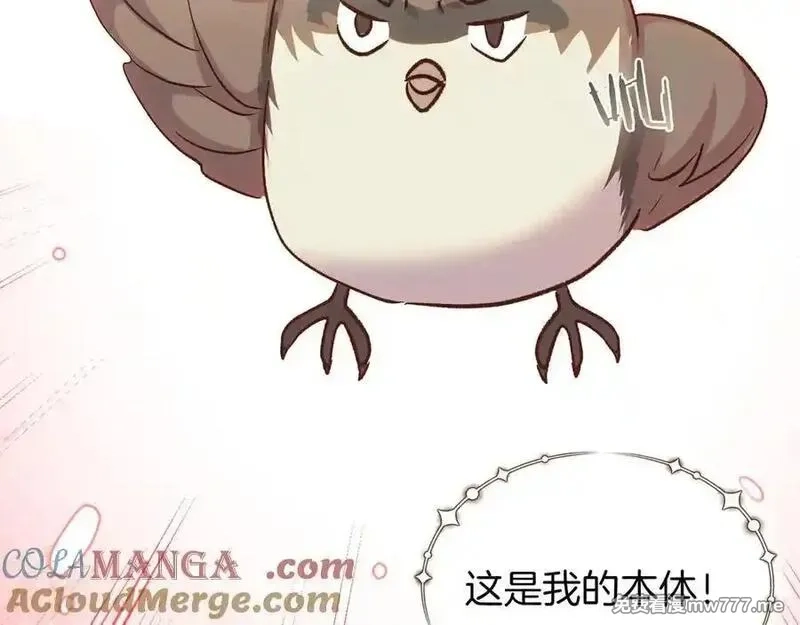 白月光男主非要娶我,第98话 终于到了这一天,第137张