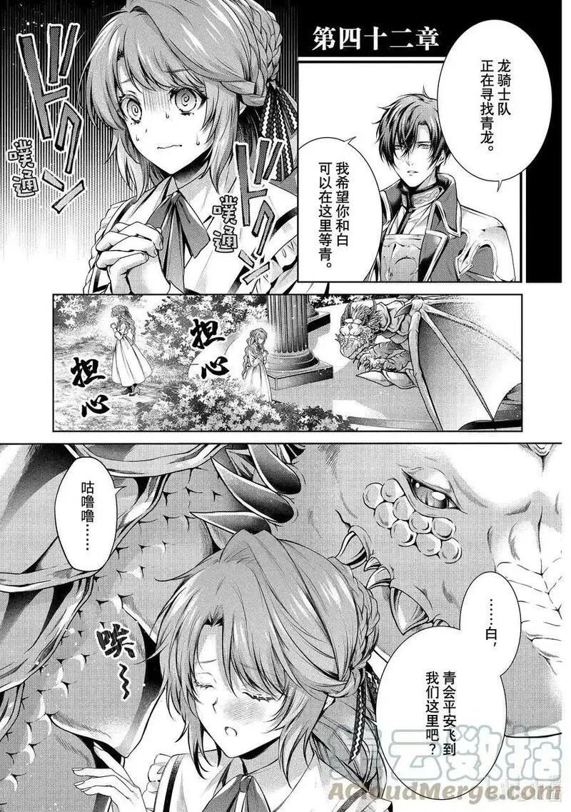 龙骑士的宠儿,42 42,第1张