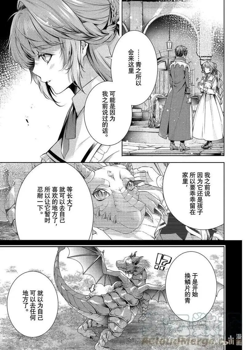 龙骑士的宠儿,42 42,第15张