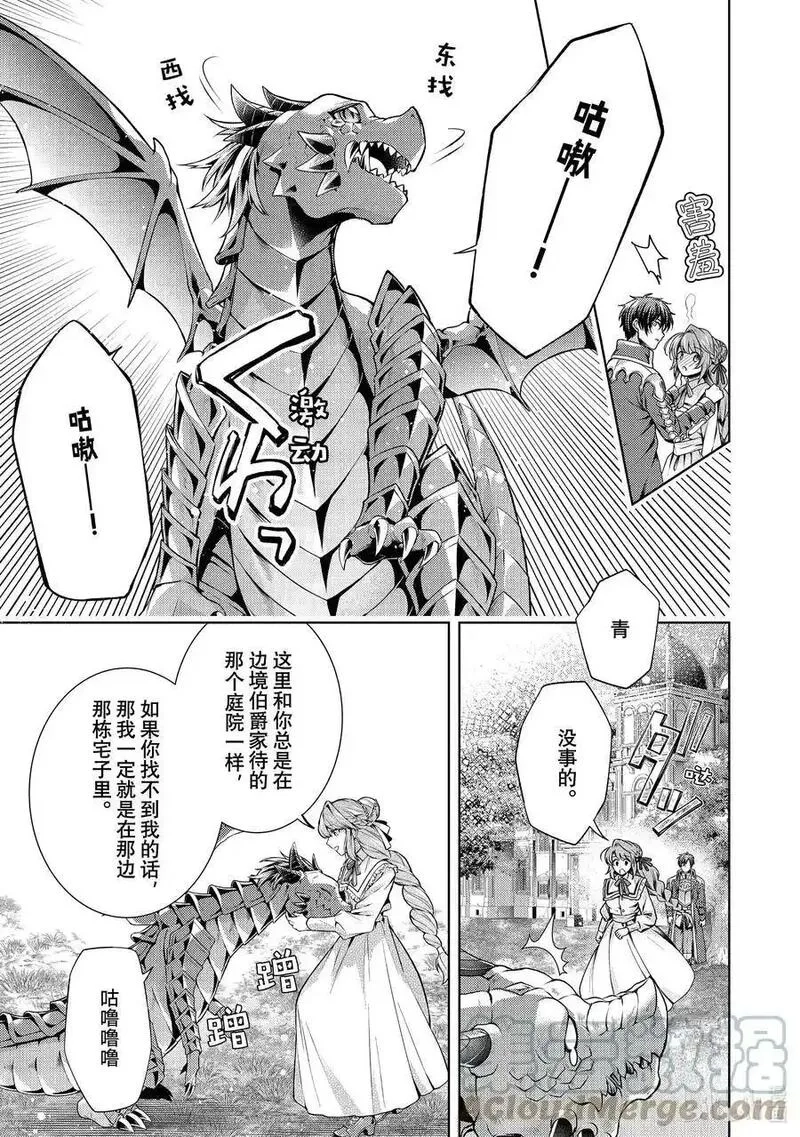 龙骑士的宠儿,42 42,第17张