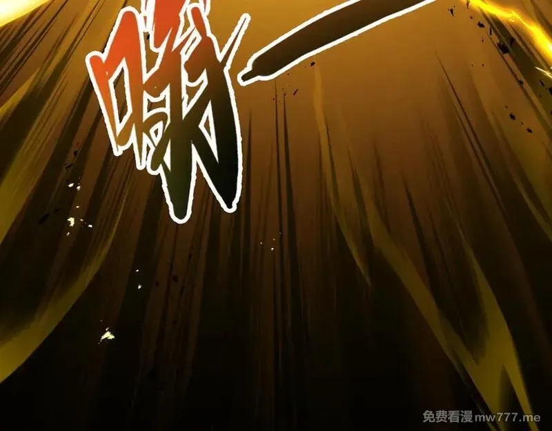 我契约了我自己,第42话 底牌,第164张
