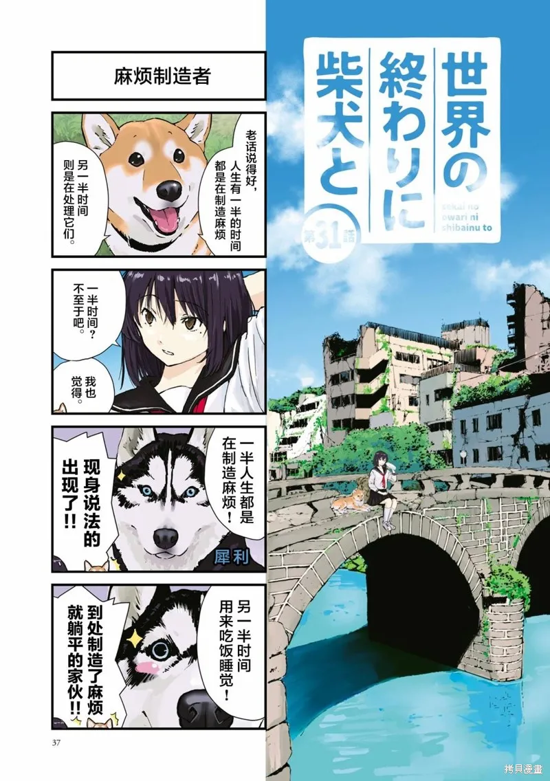 世界末日柴犬為伴,第31话,第1张