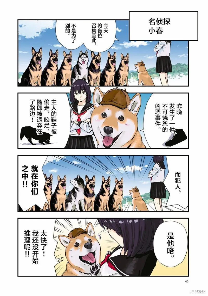 世界末日柴犬為伴,第31话,第4张