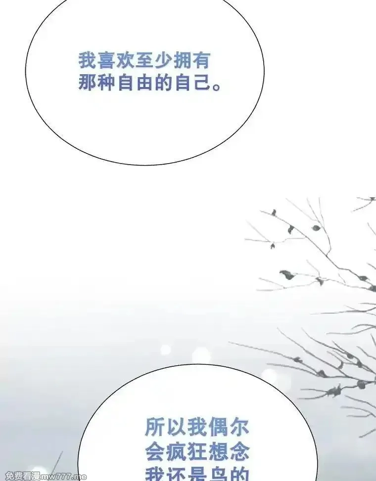 传令鸟皇女殿下,106.到达锡耶尔城,第58张