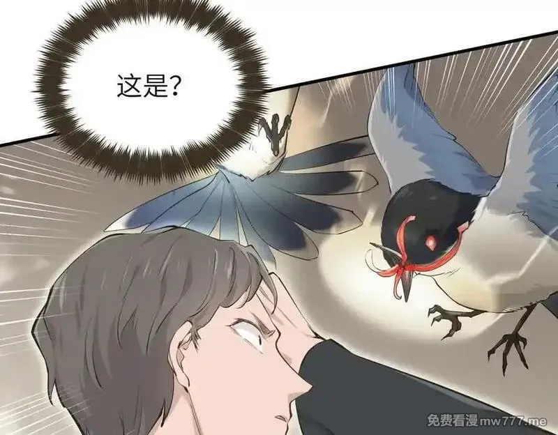 天帝有亿点收集癖,第86话 疯狂的一夜（上）,第47张