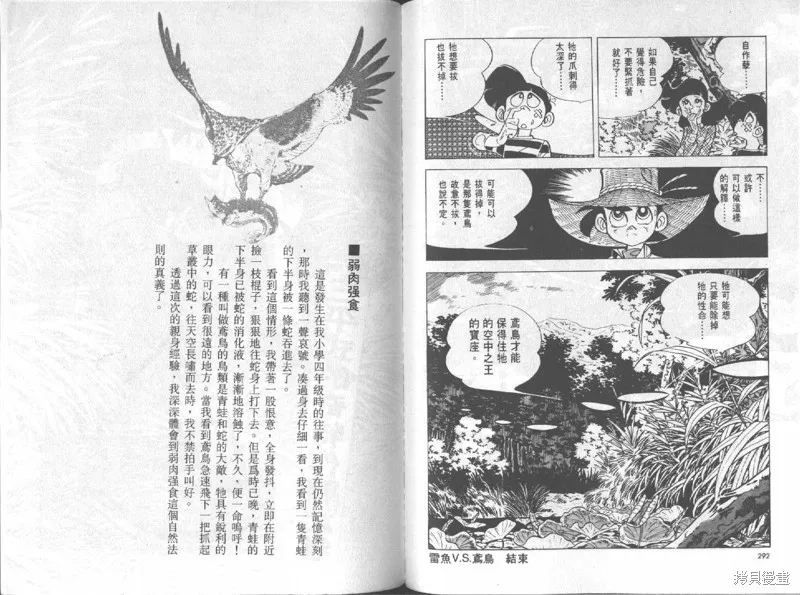 天才小釣手,VOL12,第147张