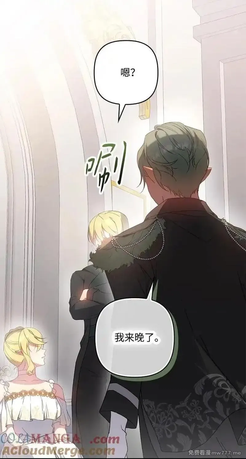 王的贡女,番外38 宴会开始,第28张