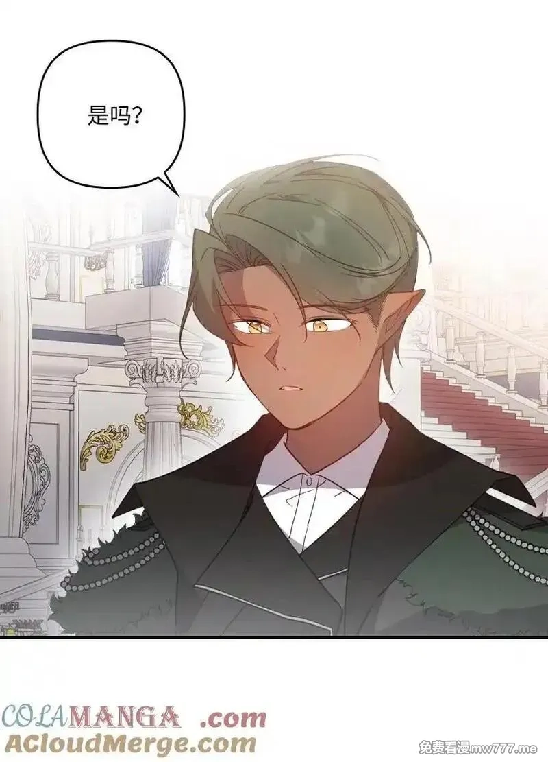 王的贡女,番外38 宴会开始,第34张