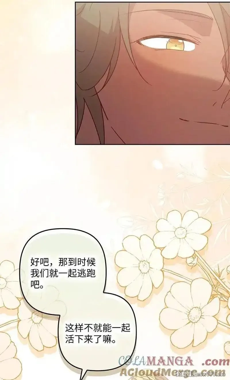王的贡女,番外38 宴会开始,第55张