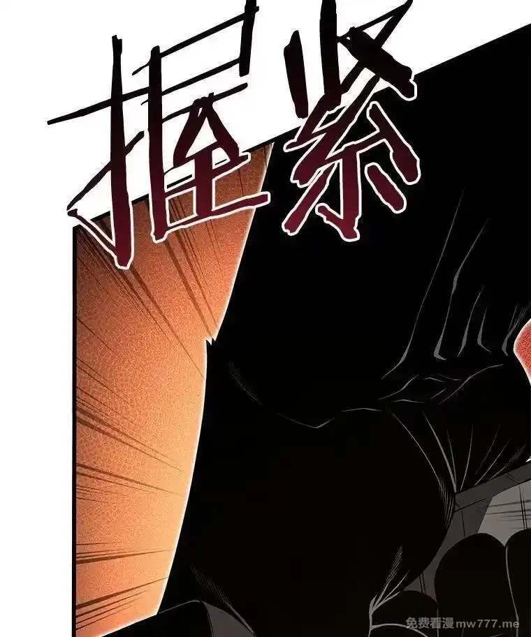 剑术名门的小儿子,133.4斗王,第6张