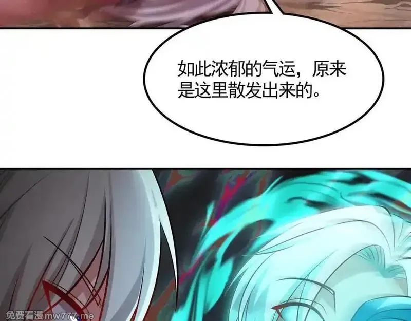 我拿捏了气运之子,72 关闭虚无天府,第66张