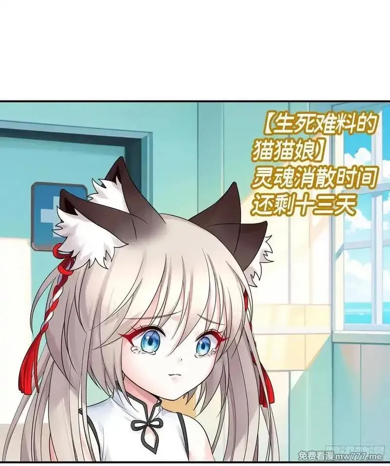 妈妈遇害后被我变成了猫娘,救赎,第38张