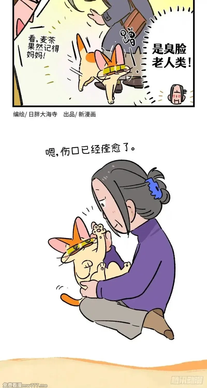 阿满和麦茶,第241话,第8张
