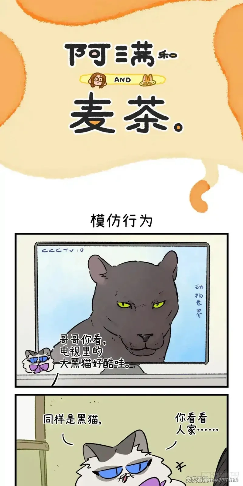 阿满和麦茶,第215话,第13张