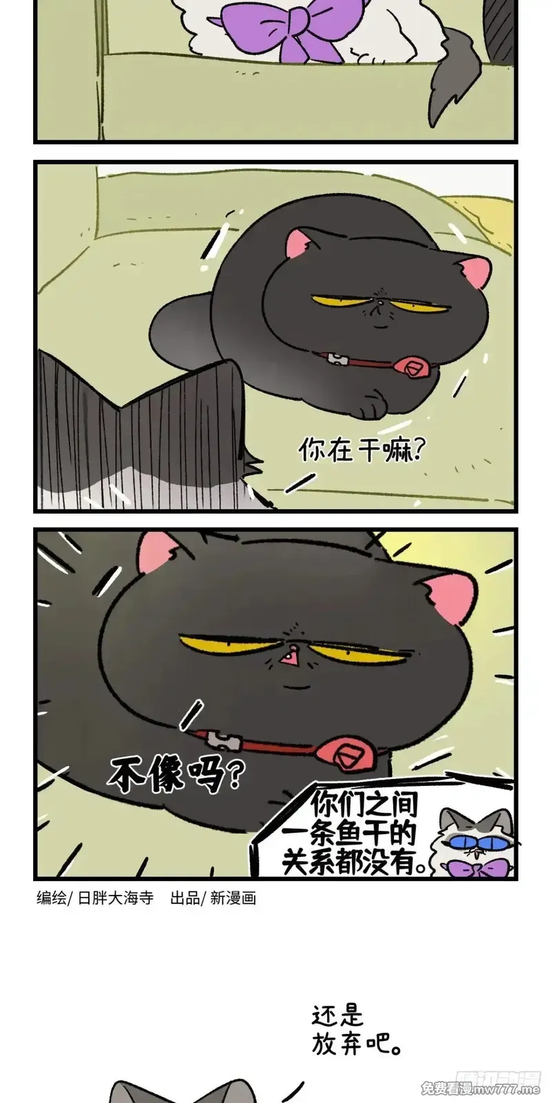 阿满和麦茶,第215话,第14张