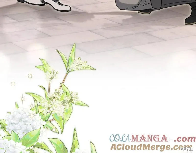 金色黎明照耀著你,第49话,第145张
