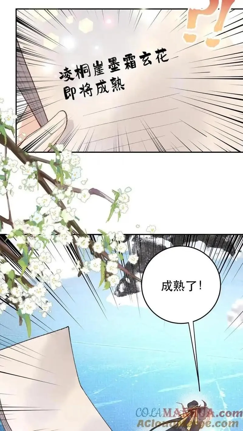 全宗门都是恋爱脑，唯我是真疯批,第159话 凌桐崖,第5张