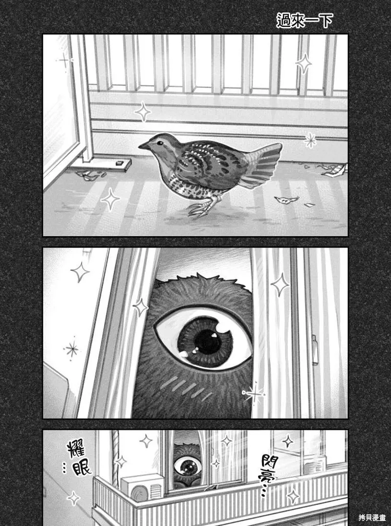 我捡了一只猫,02部02话,第1张