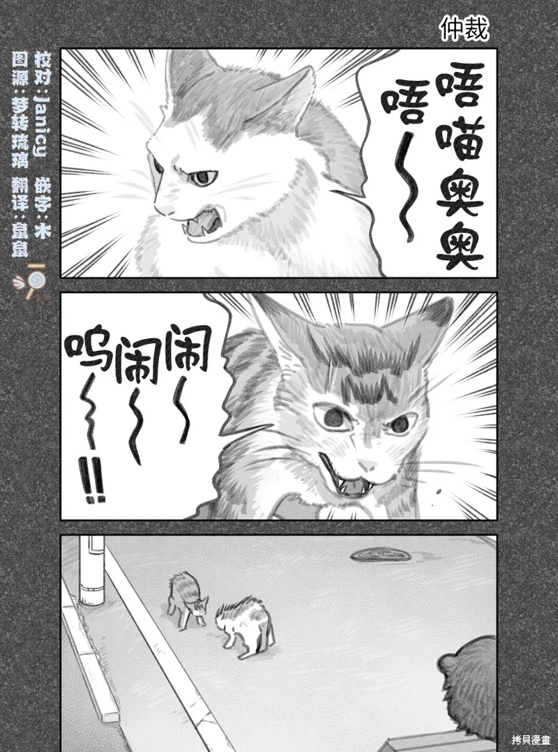 我捡了一只猫,02部48话,第1张
