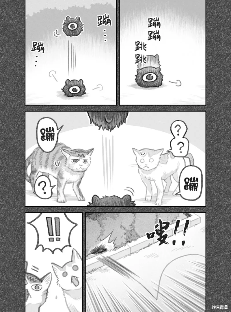 我捡了一只猫,02部48话,第3张
