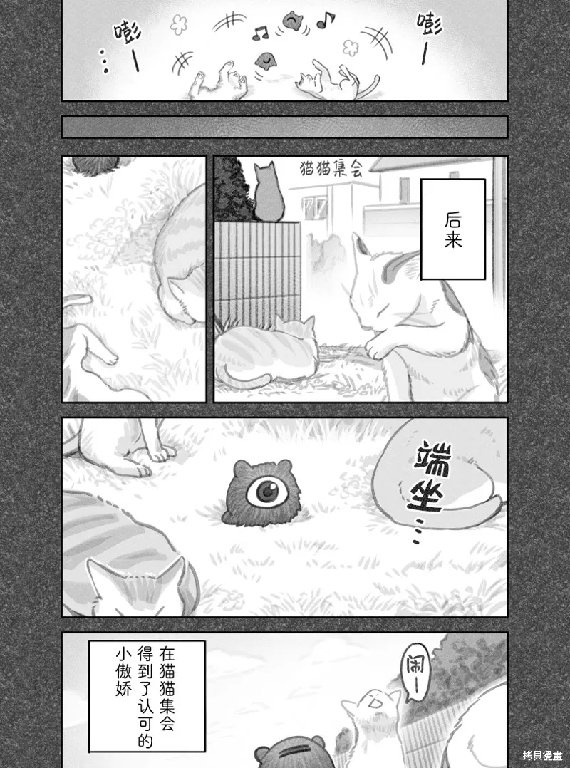 我捡了一只猫,02部48话,第5张