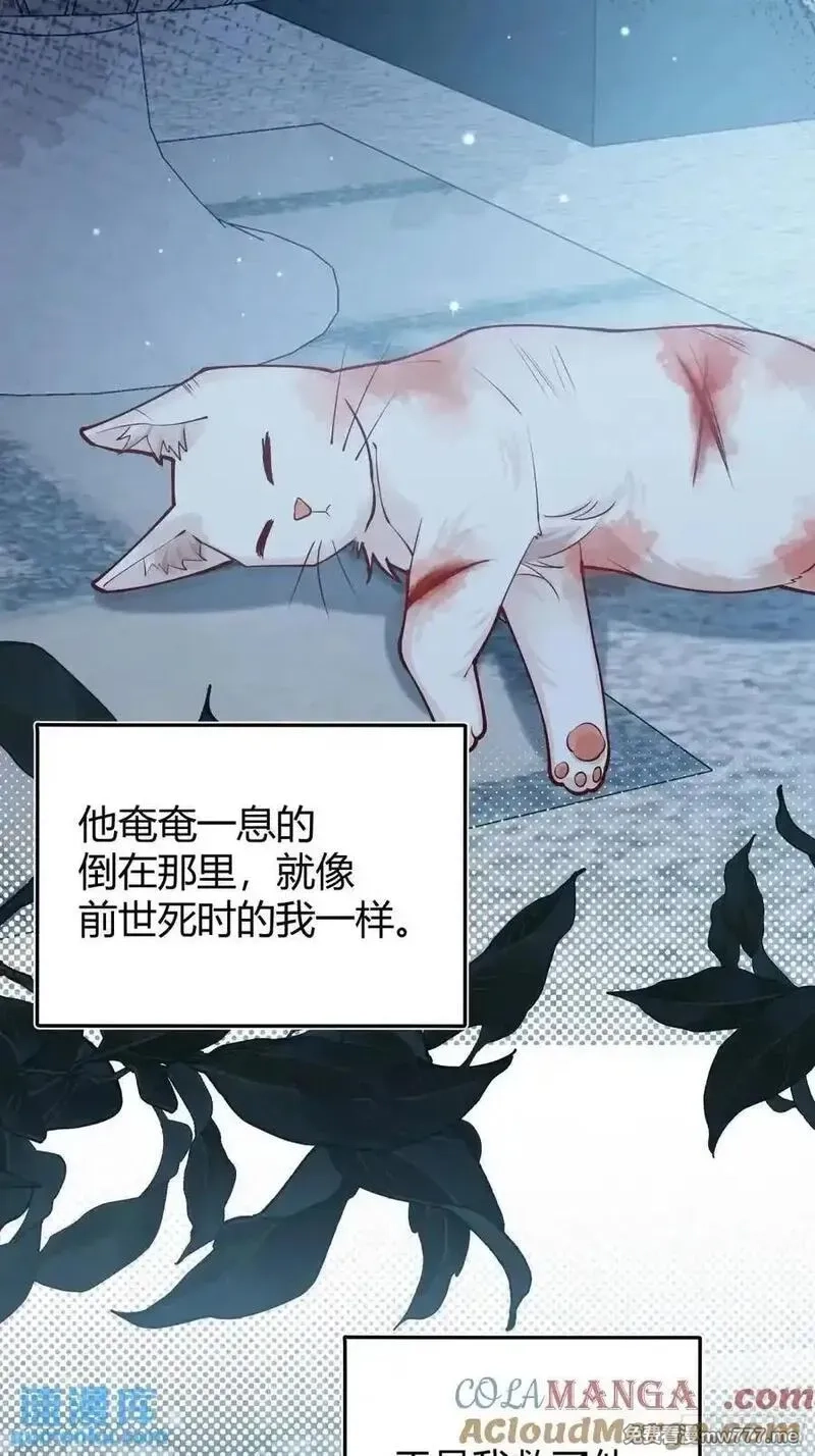 后宫就交给反派女配,99 091猫,第25张