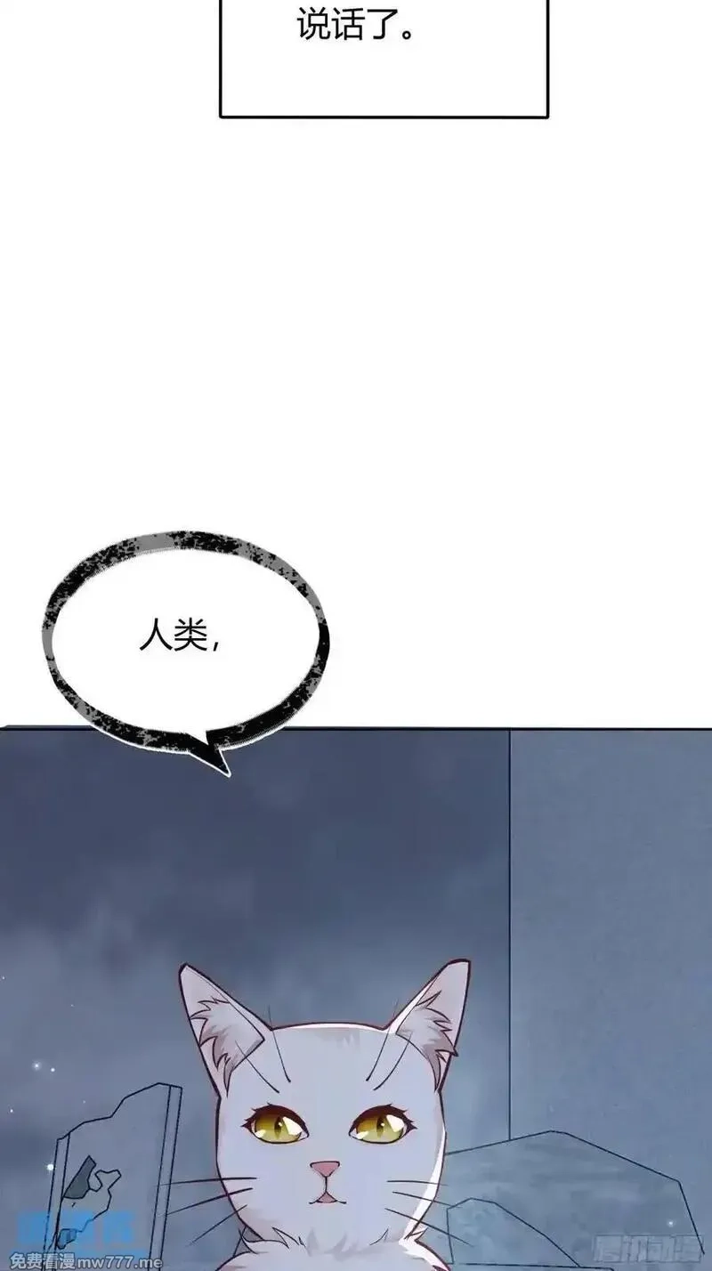 后宫就交给反派女配,99 091猫,第27张