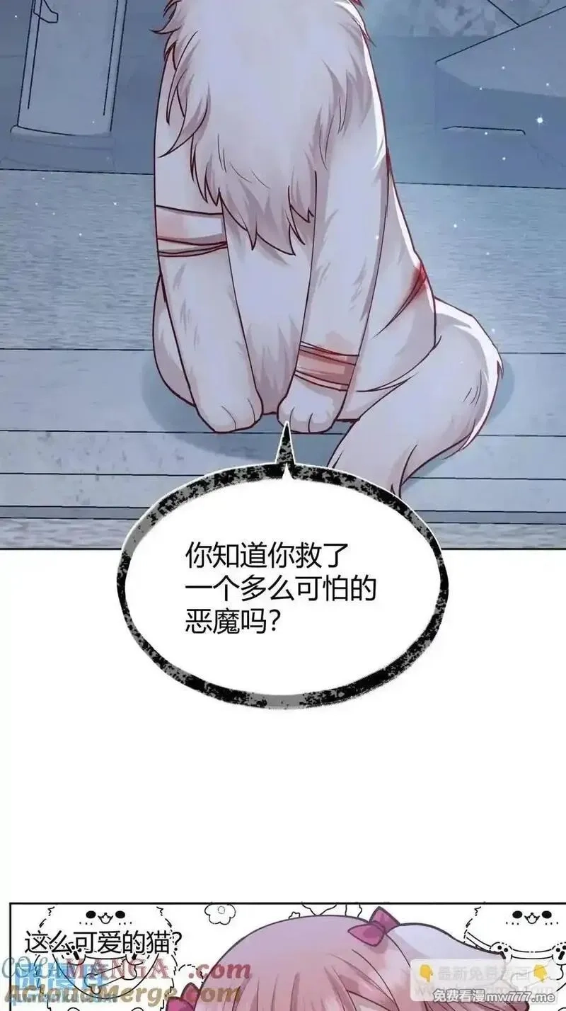 后宫就交给反派女配,99 091猫,第28张