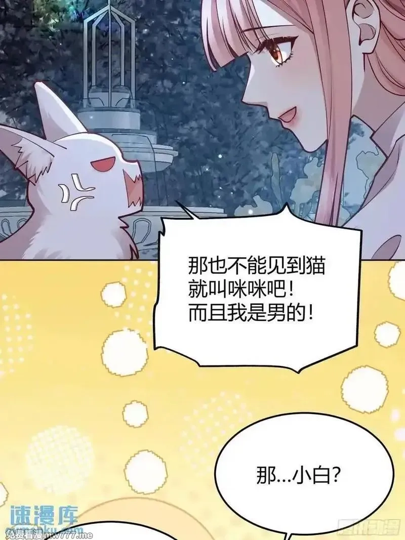 后宫就交给反派女配,99 091猫,第38张