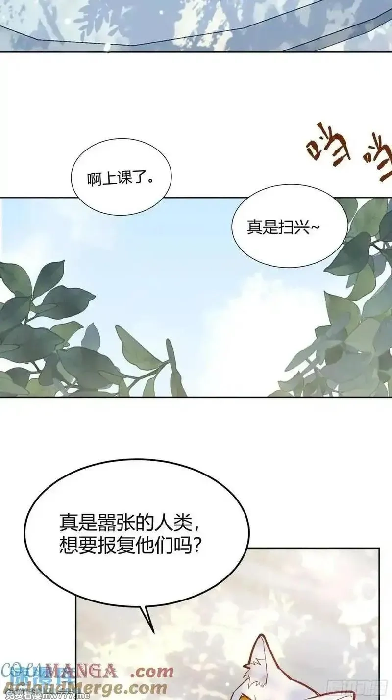 后宫就交给反派女配,99 091猫,第43张