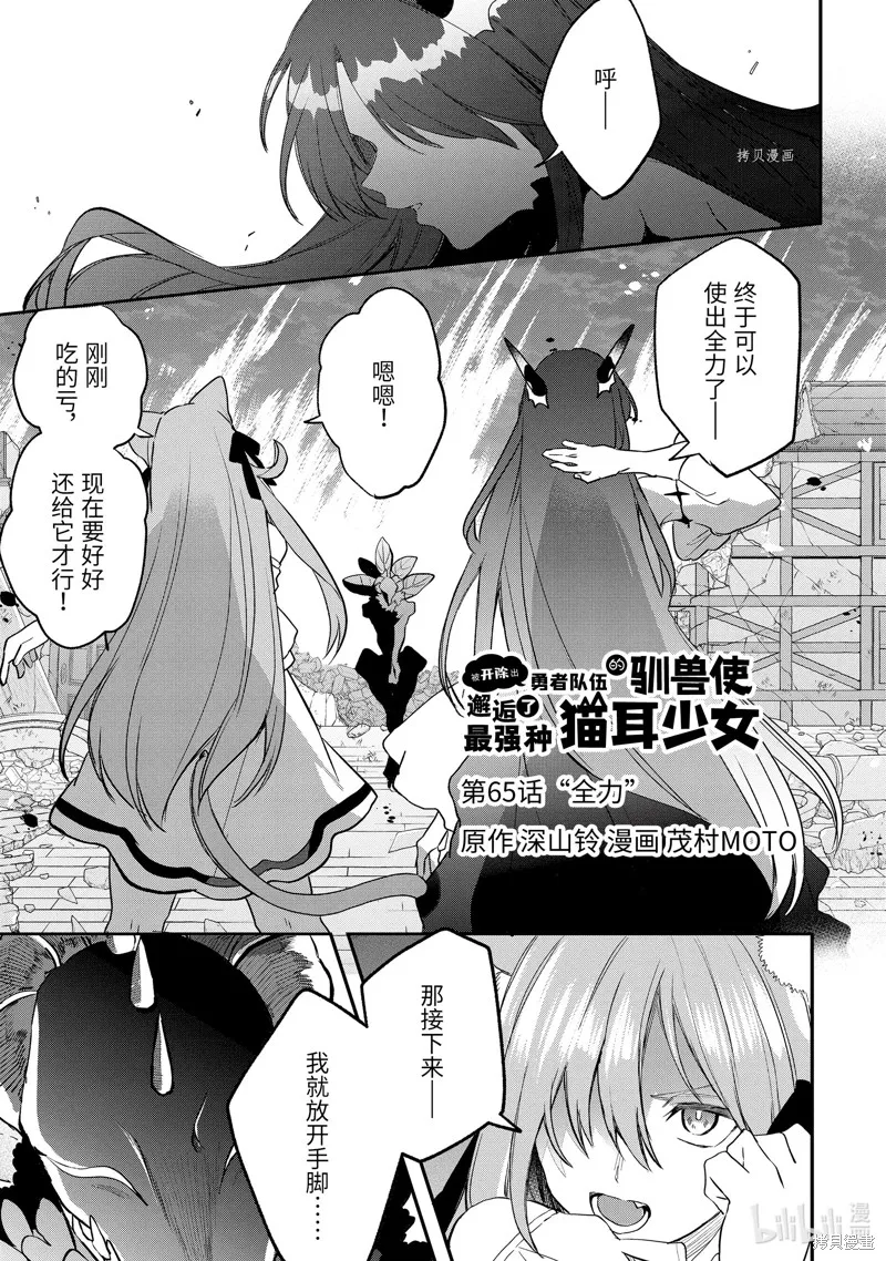 被勇者队伍开除的驭兽使、邂逅了最强种的猫耳少女,第65话,第1张