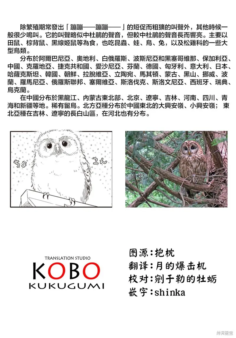 幸福觀鳥,第29话,第13张