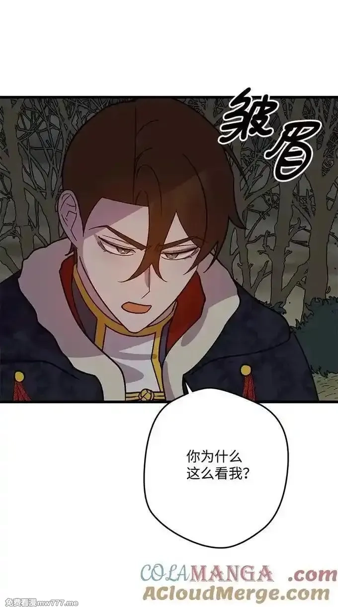 穿越成炮灰的我绝不认输,136 扫灭残党,第34张