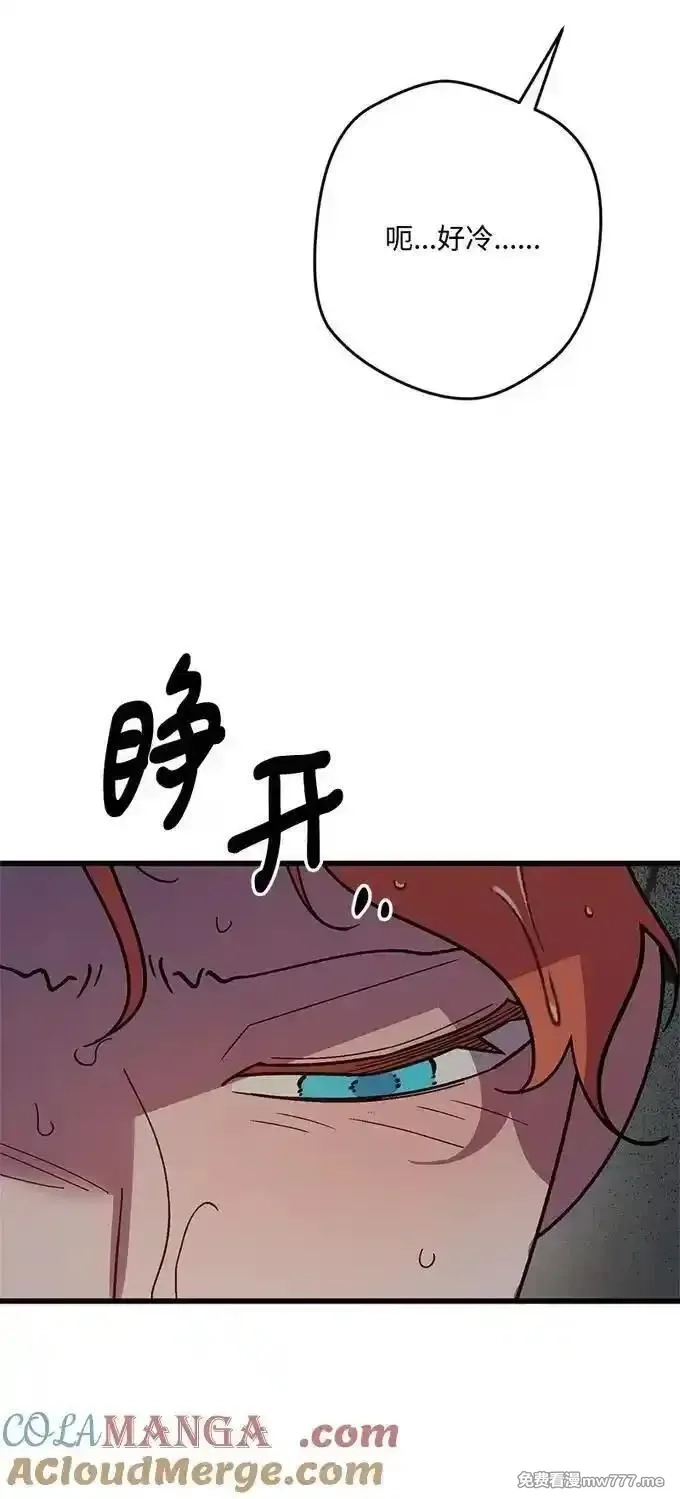 穿越成炮灰的我绝不认输,136 扫灭残党,第76张