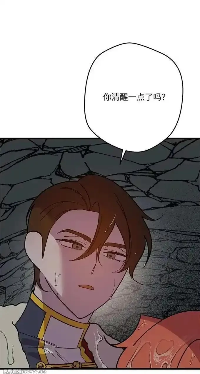 穿越成炮灰的我绝不认输,136 扫灭残党,第83张