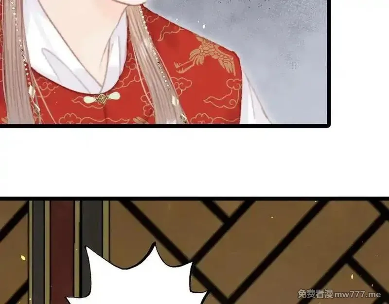 韶华珑：重生之恶妃逆袭,017 识破造假,第126张