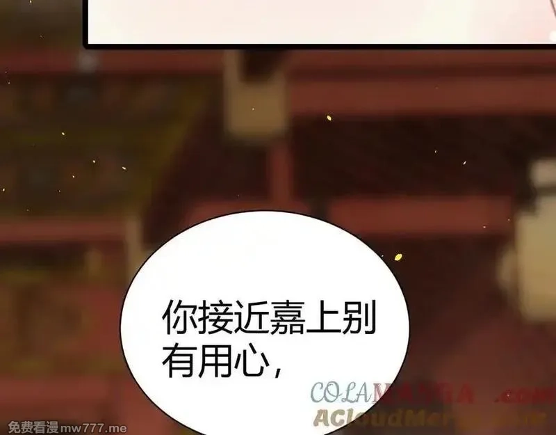 韶华珑：重生之恶妃逆袭,017 识破造假,第153张
