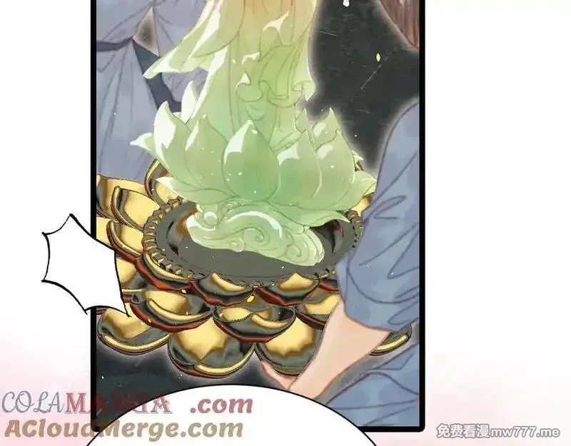 韶华珑：重生之恶妃逆袭,017 识破造假,第89张